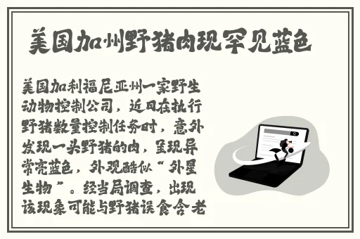 国产真实办公室沙发午睡系列